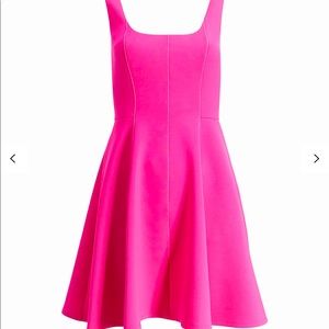NWT Ted Baker Lohanna Pink Skater Dress TB 2/US 6